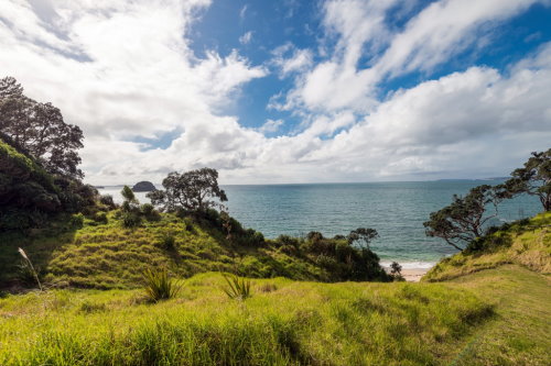 Taumarumaru Scenic Reserve Walk